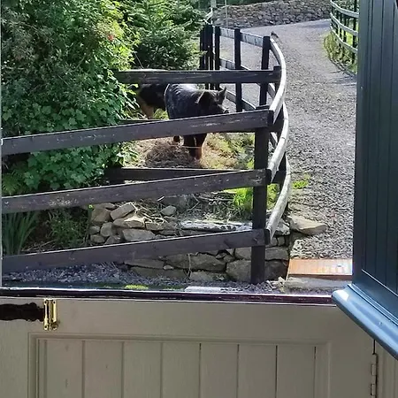 The Old House At Belfield *