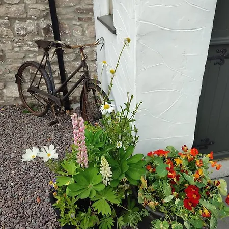 The Old House At Belfield