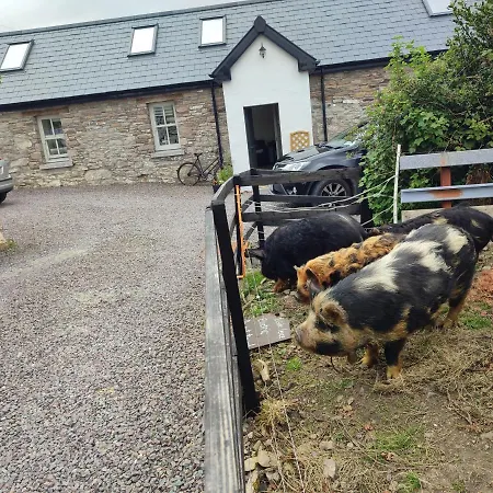 The Old House At Belfield * Tralee