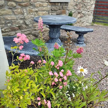 The Old House At Belfield *