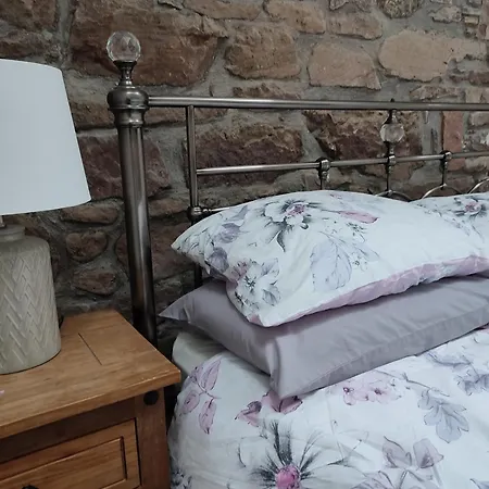 The Old House At Belfield *