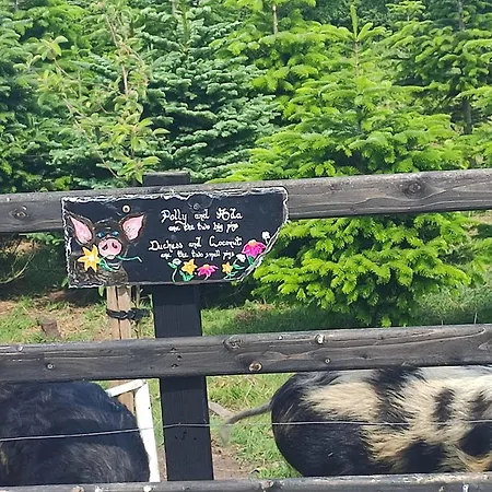 The Old House At Belfield Сasa de vacaciones Tralee