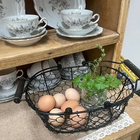 The Old House At Belfield Hébergement de vacances