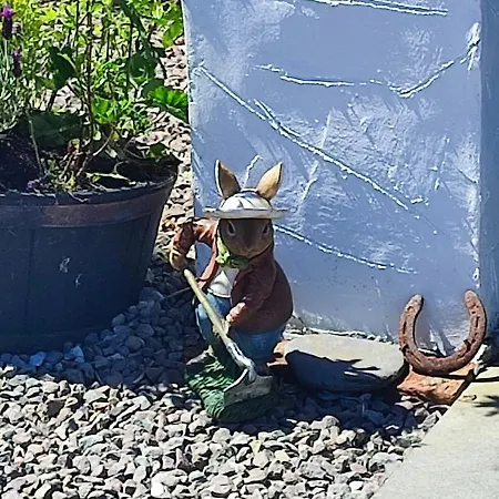 Hébergement de vacances The Old House At Belfield *