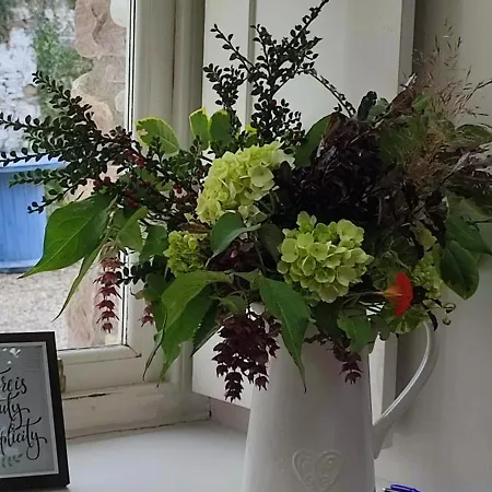 The Old House At Belfield Tralee