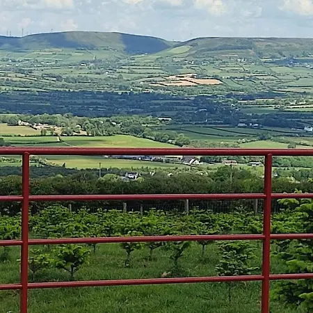 The Old House At Belfield * Tralee