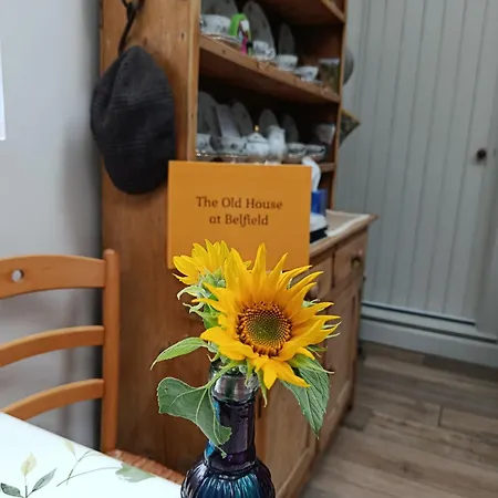 The Old House At Belfield