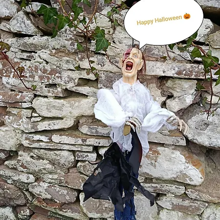 Casa de Férias The Old House At Belfield *