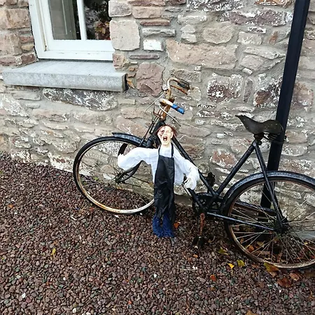 The Old House At Belfield *