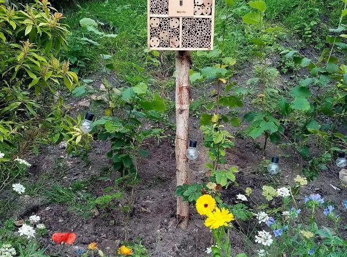 The Old House At Belfield *