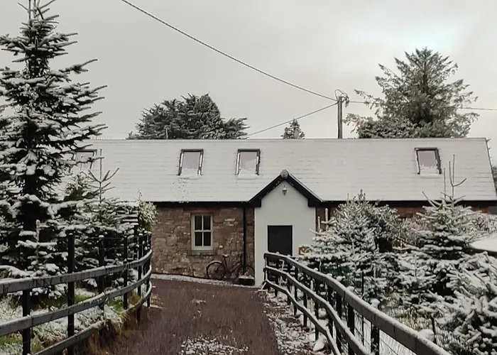 The Old House At Belfield