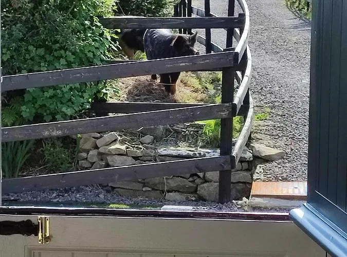 The Old House At Belfield *