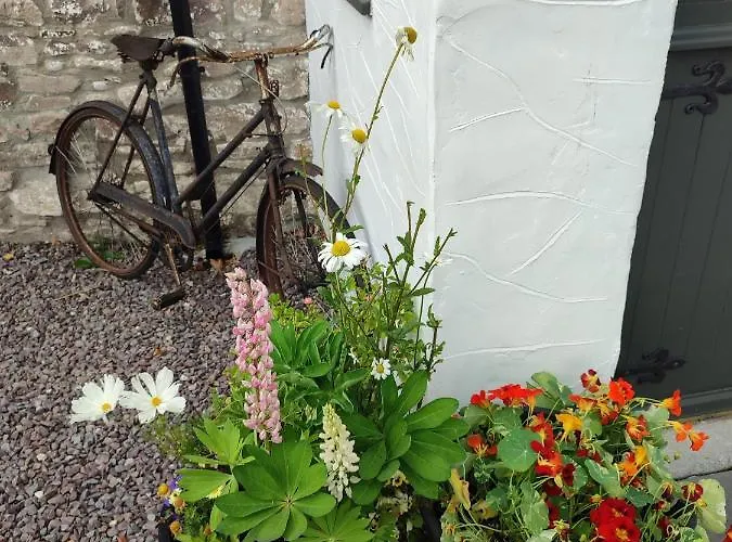 The Old House At Belfield