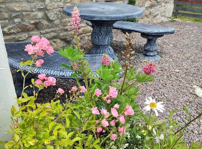 The Old House At Belfield *