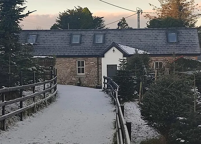 The Old House At Belfield *