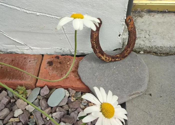 Holiday home The Old House At Belfield *