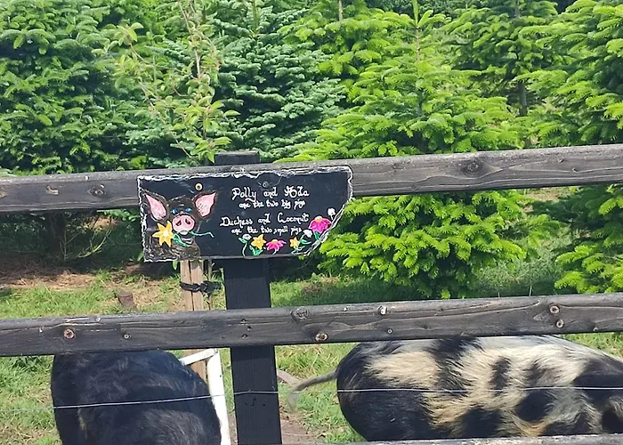 The Old House At Belfield Сasa de vacaciones Tralee