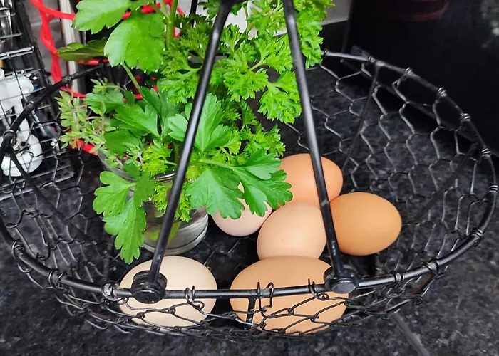 The Old House At Belfield Сasa de vacaciones *