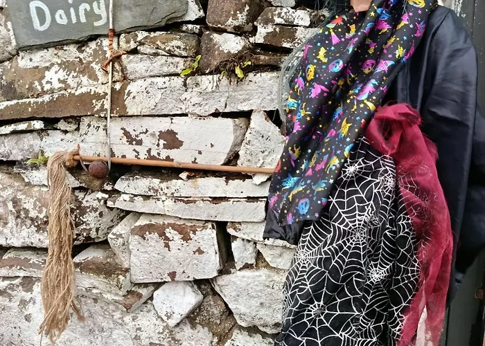 The Old House At Belfield Сasa de vacaciones Tralee