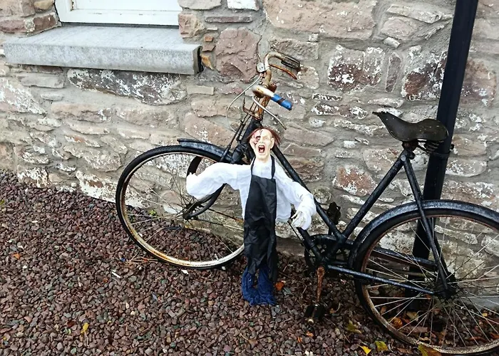 The Old House At Belfield *